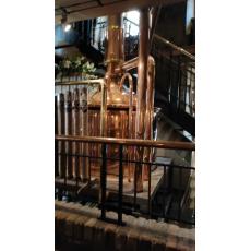 2025-49 Ausflug Regensburg.jpg